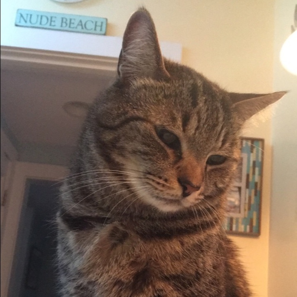 Meet your Posher, Taylor