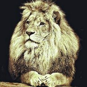 Meet your Posher, Melo