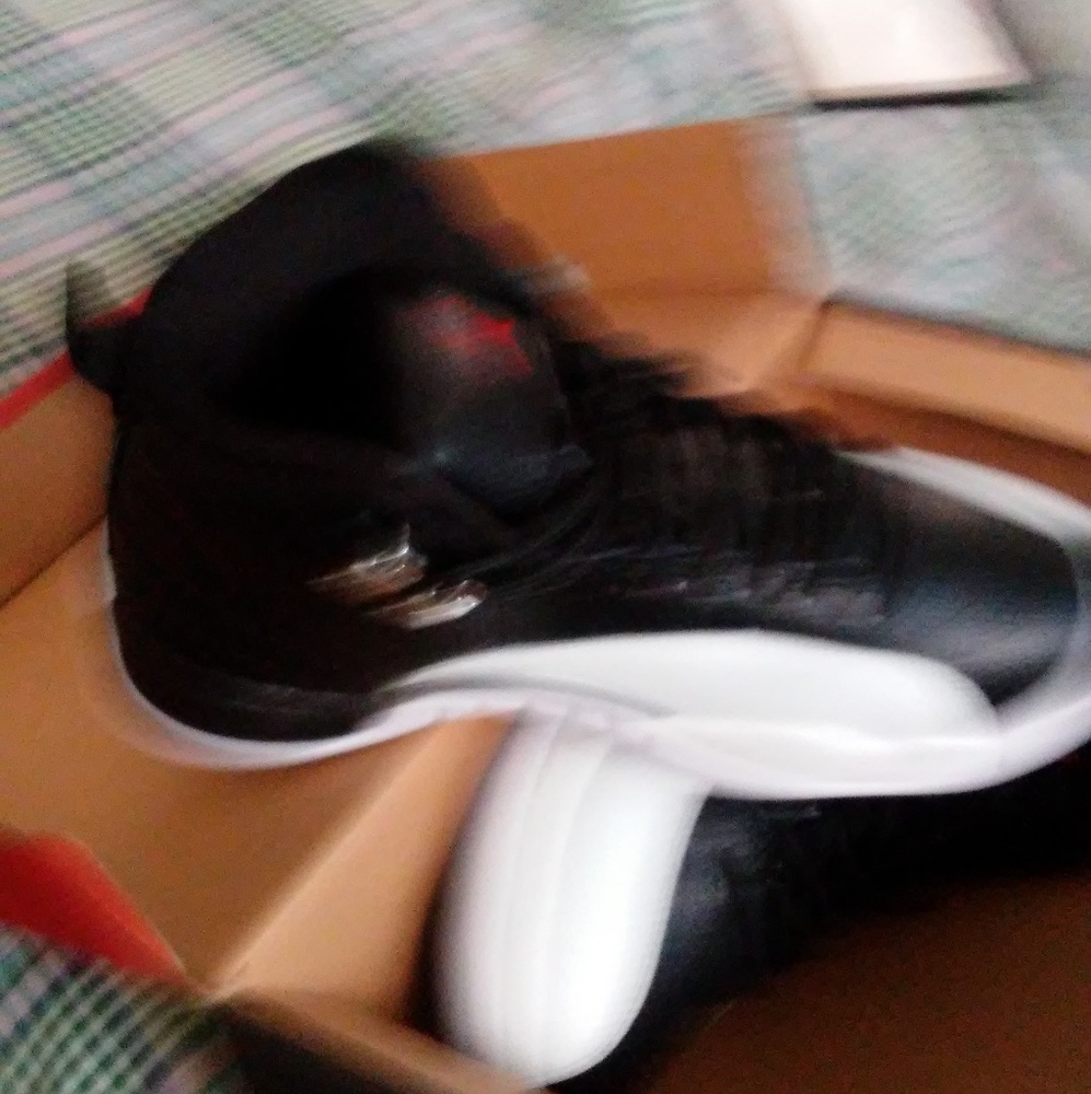 Jordan 12s
