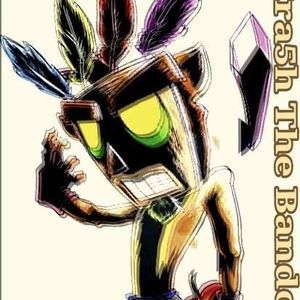 Meet your Posher, Crash-the