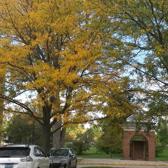 Meet your Posher, Emmanuella - Picture 1 of 1