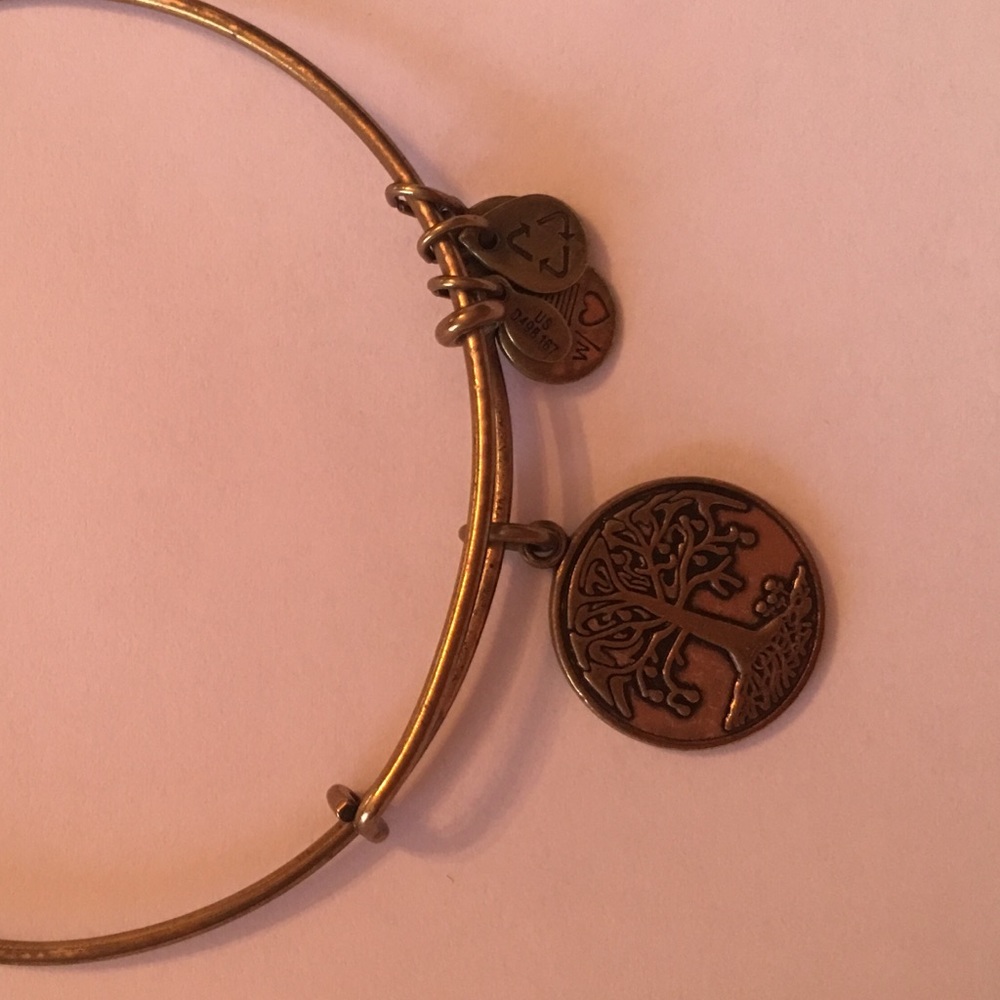 Alex and Ani Tree bracelet