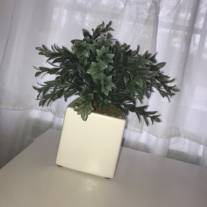 Fake decor plant