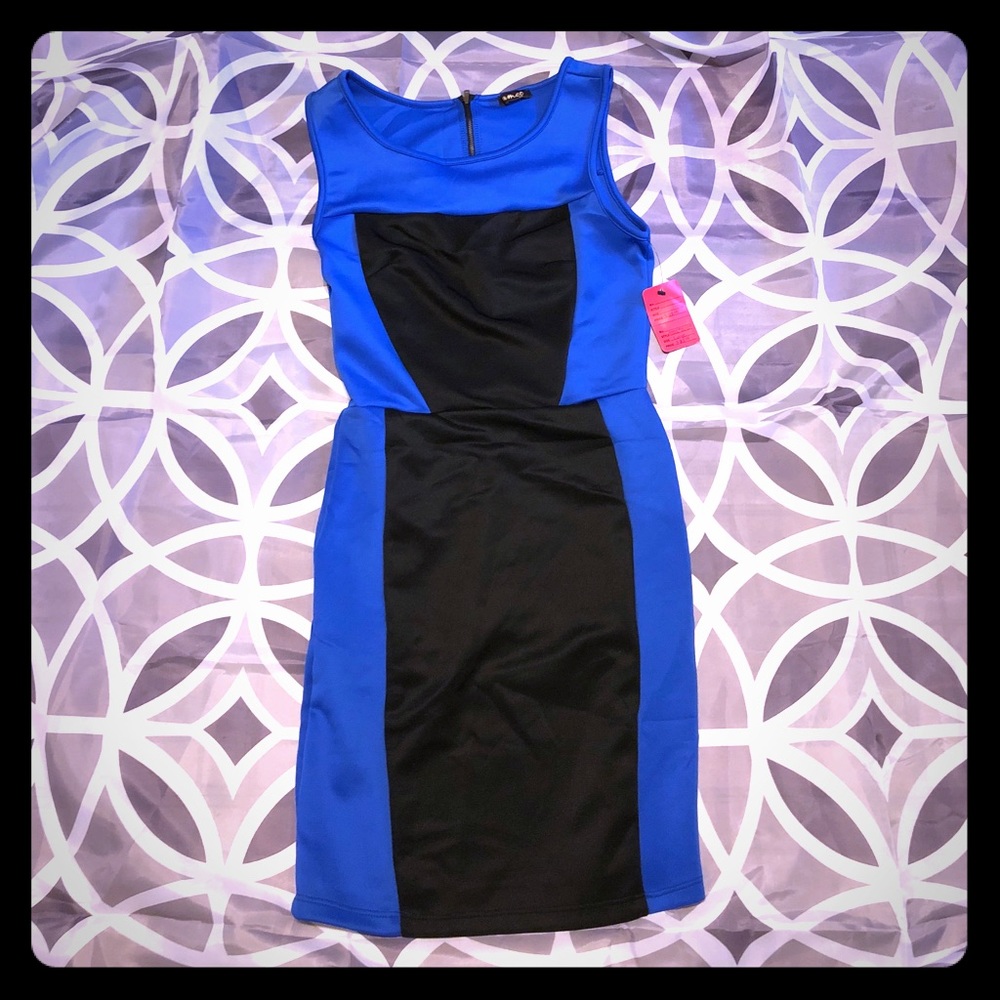 Cameo sleeveless block dress