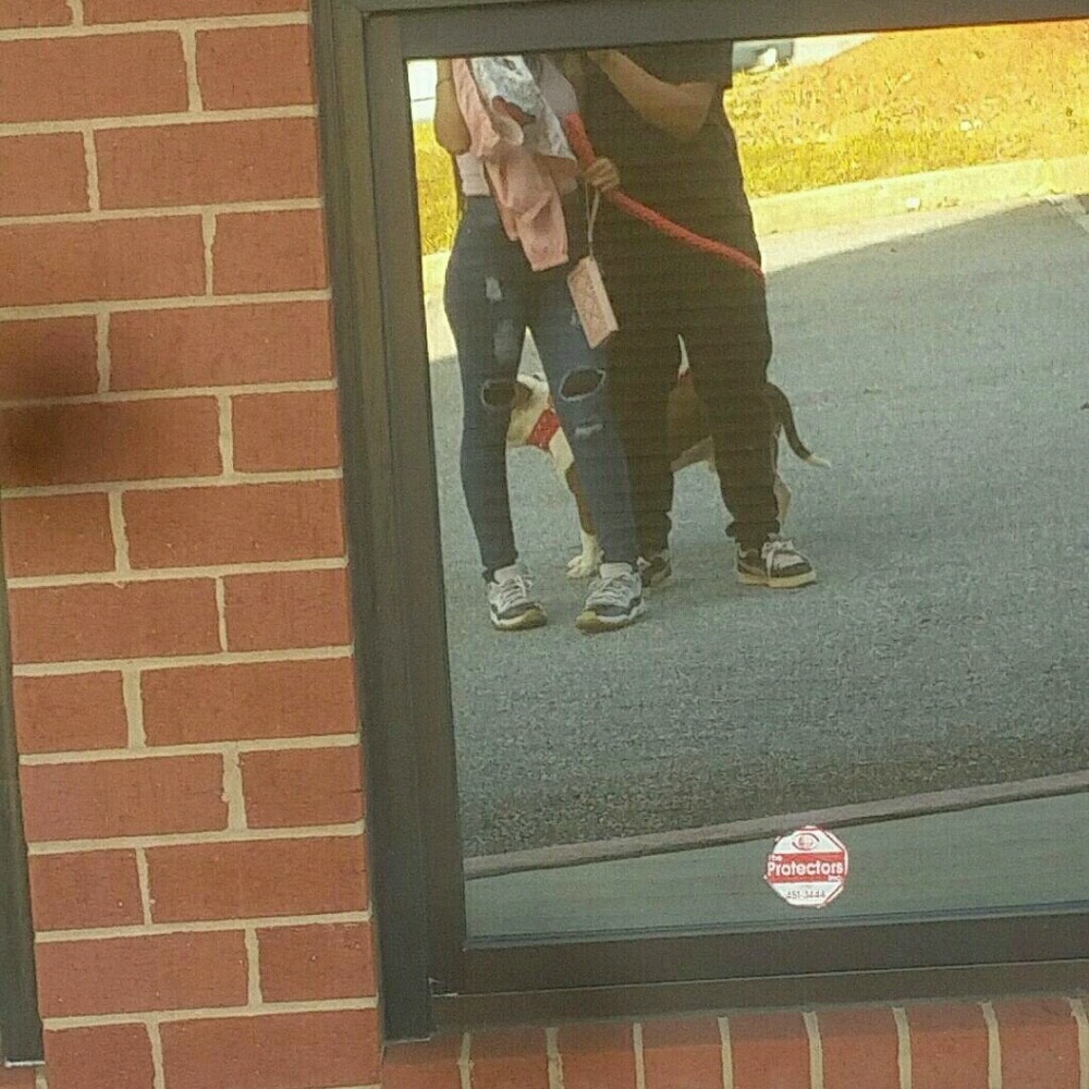 Meet your Posher, Lesly