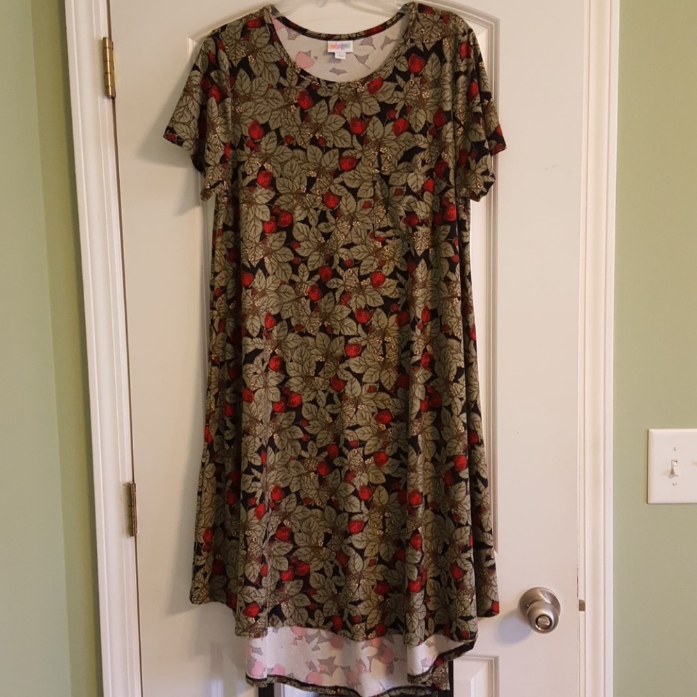 Lularoe Strawberry Fields Carly Dress