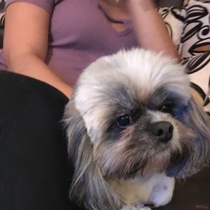 Meet your Posher, Gabriel