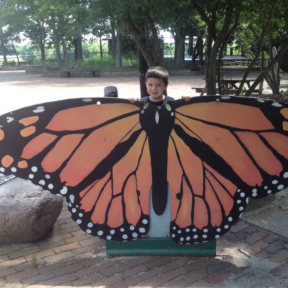 Meet your Posher, Meghan