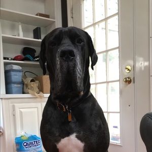 Meet your Posher, Katelyn