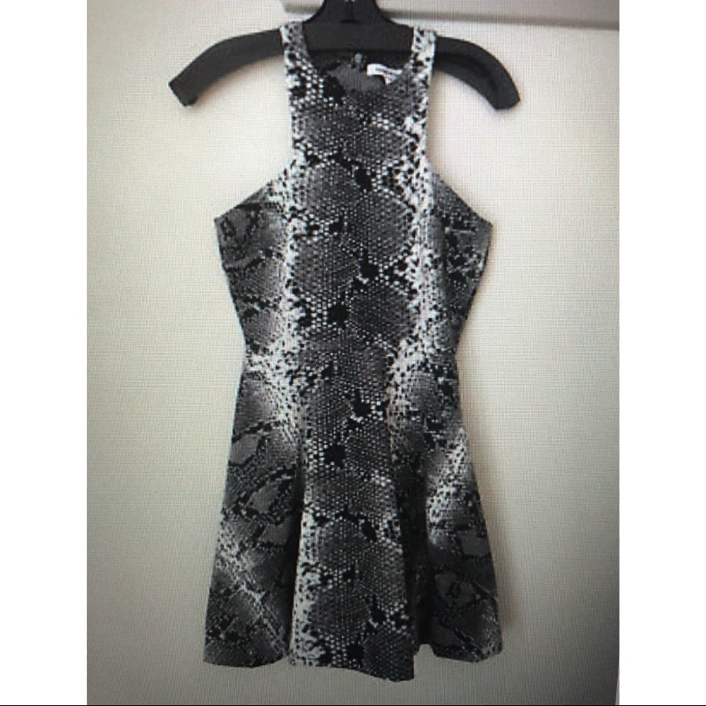 Elizabeth and James Clarissa Animal Print Dress