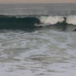 Meet your Posher, Zachary