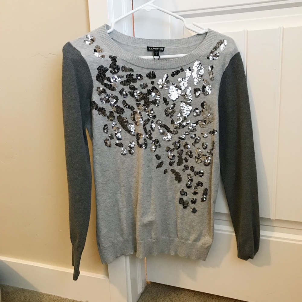 Express leopard sequin sweater
