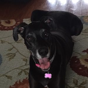 Meet your Posher, Amanda