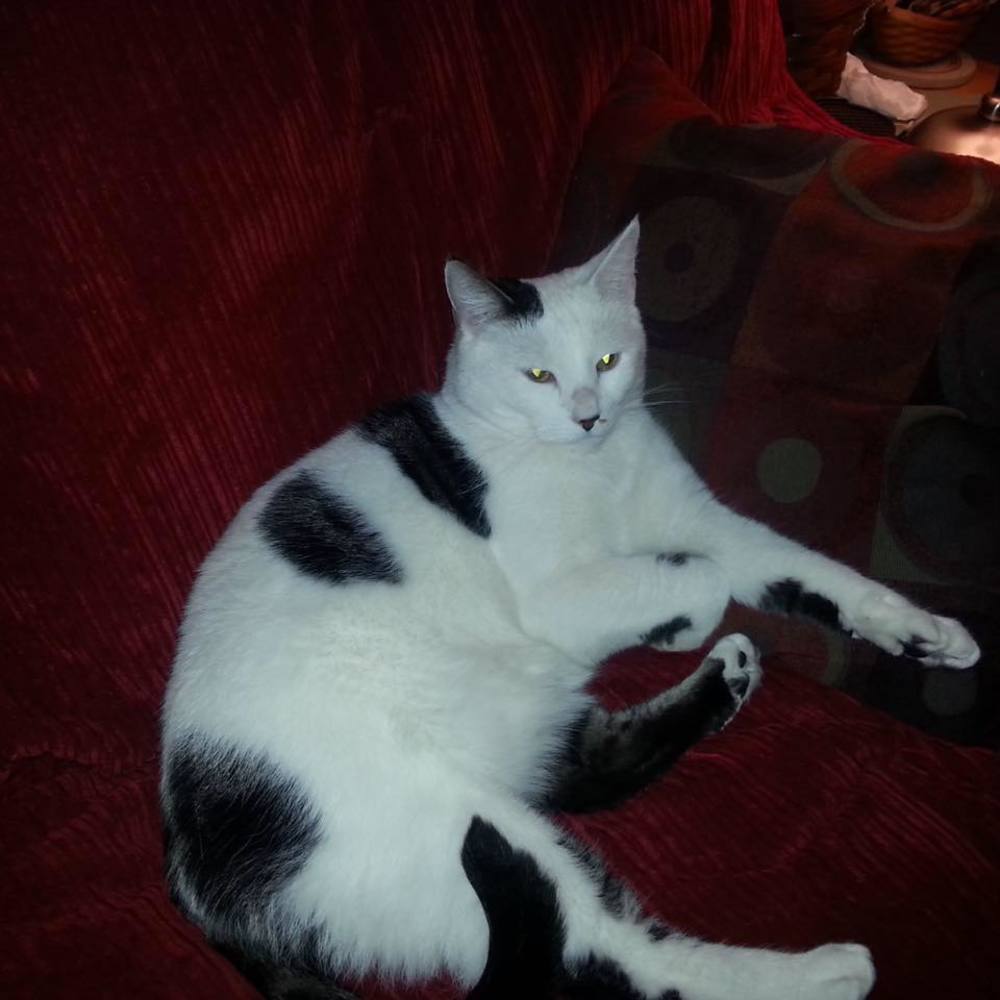 Meet your Posher, Deb