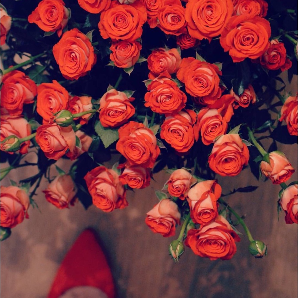 Meet your Posher, Rose