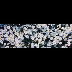 Meet your Posher, Queen