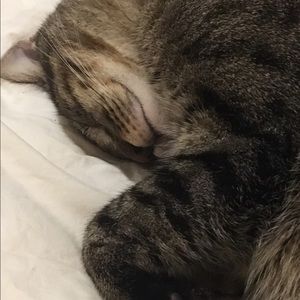 Meet your Posher, Dawn