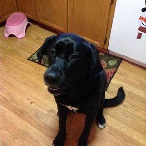 Meet your Posher, Susan