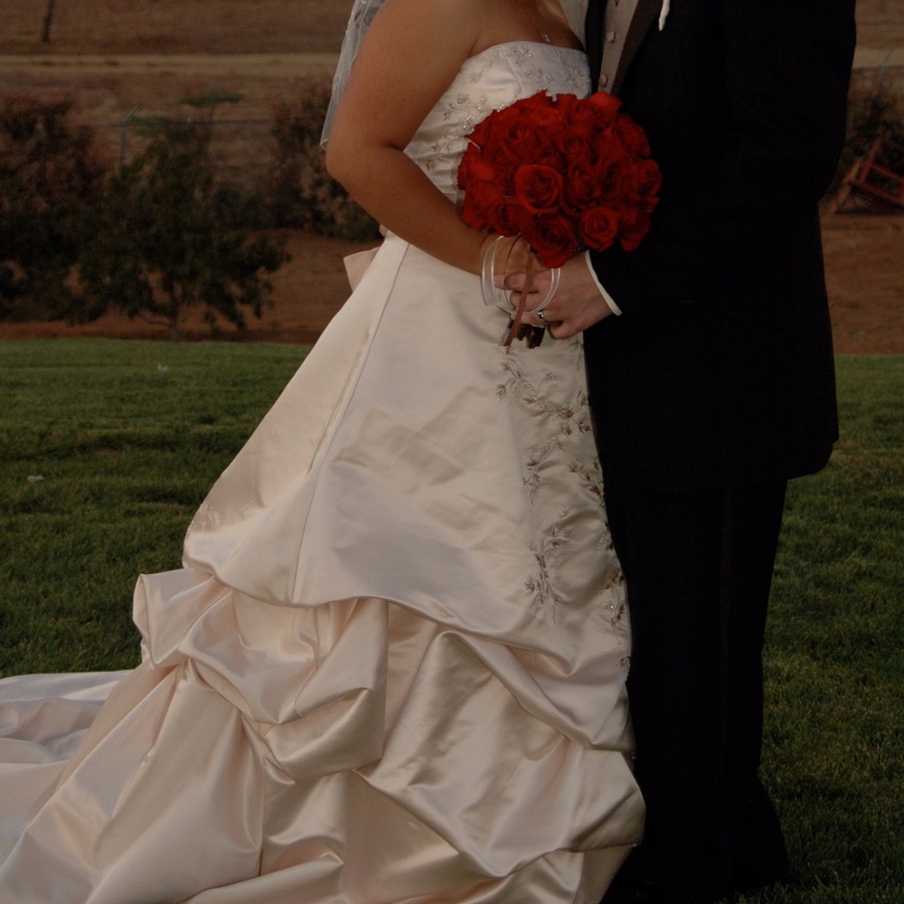 Strapless Wedding Dress