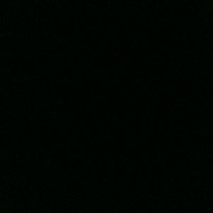 Meet your Posher, Rhandyn