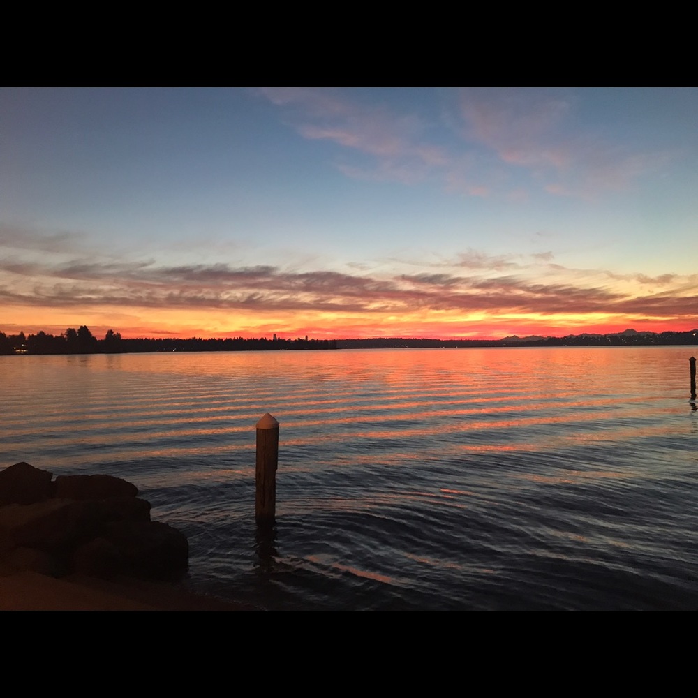 Meet your Posher, Wen