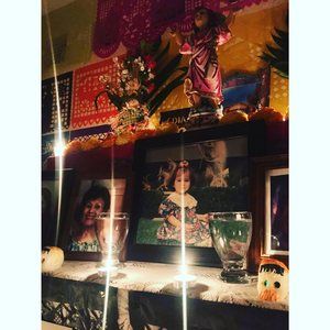 Meet your Posher, Reyna