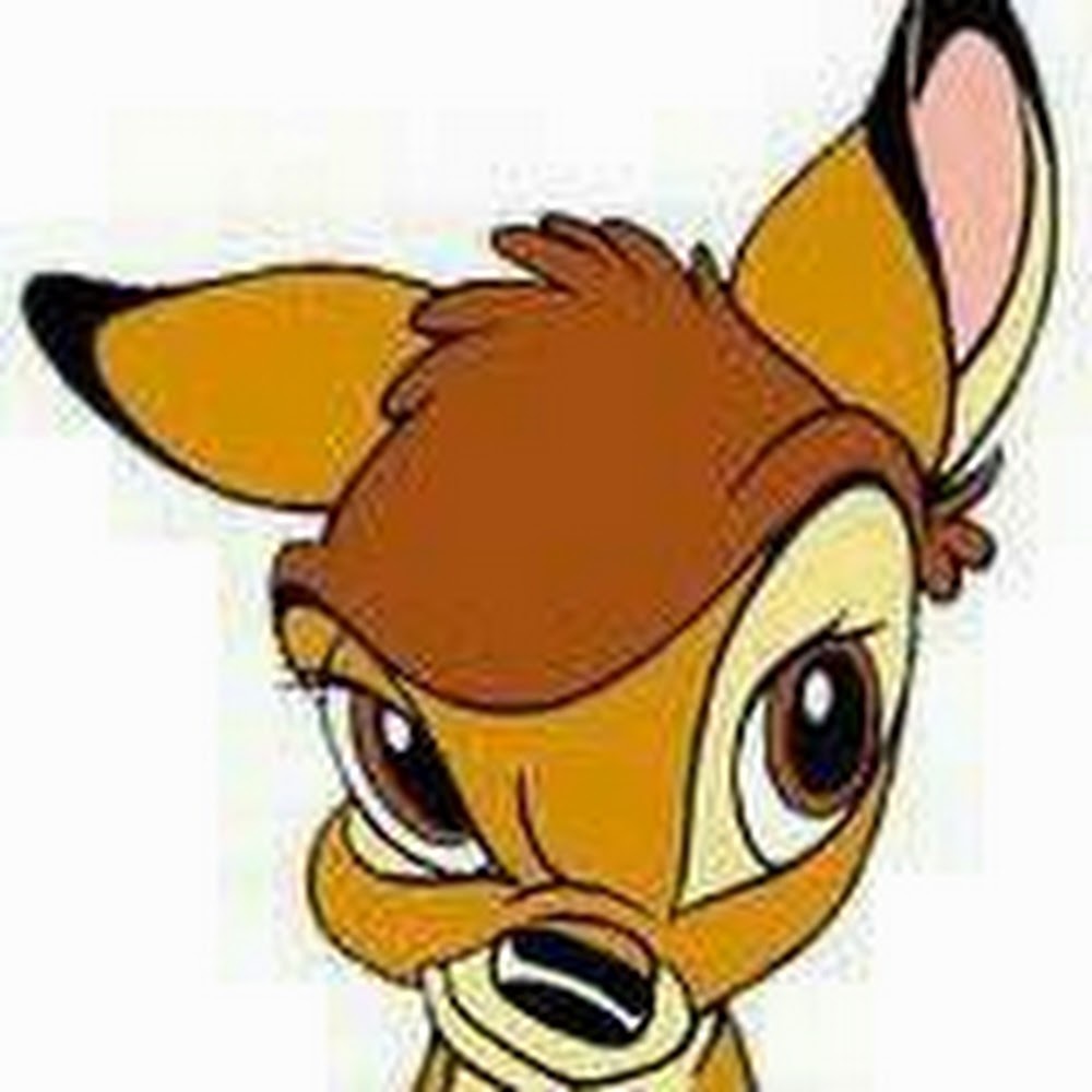 Meet your Posher, Bambi