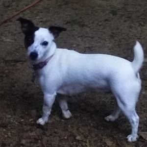 Meet your Posher, Bobbie