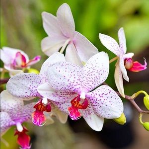 Meet your Posher, Judith