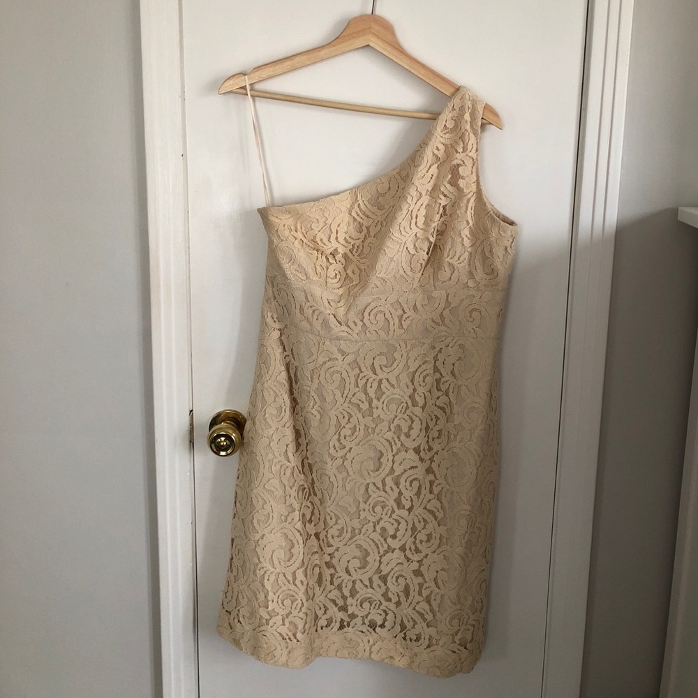 J. Crew Alexa Dress