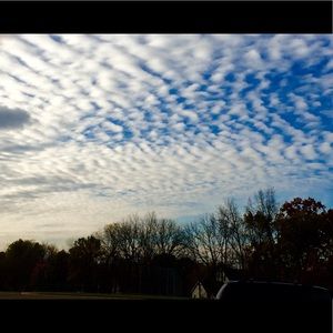 Meet your Posher, Camryn