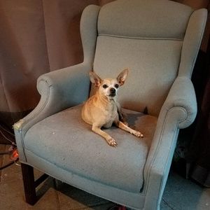 Meet your Posher, Veronica