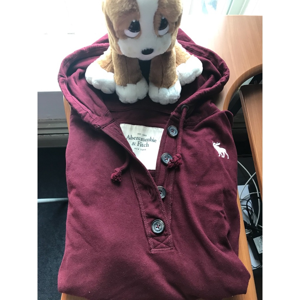 Abercrombie and Fitch Hoodie