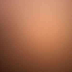 Meet your Posher, Lizbeth