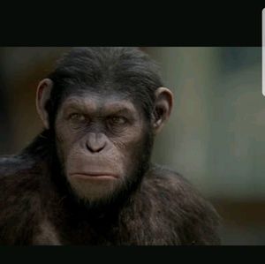 Meet your Posher, Devon