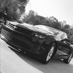 Meet your Posher, Brady