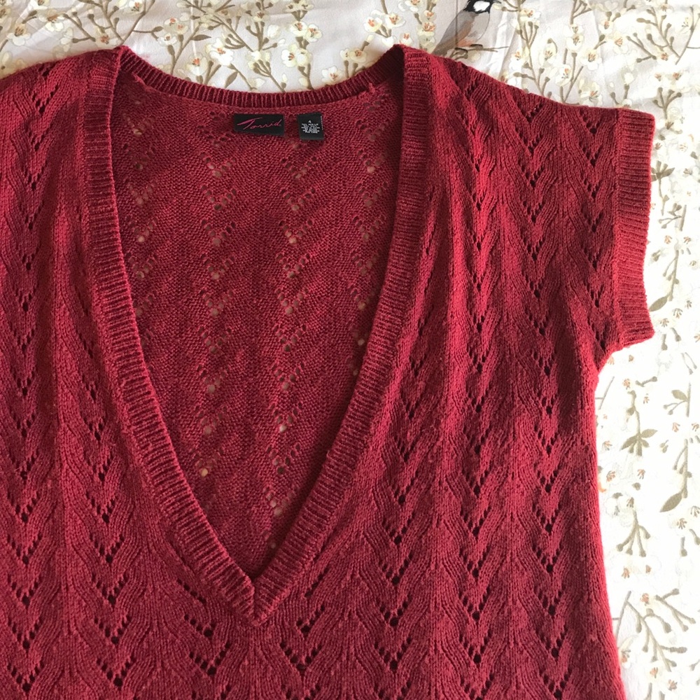 Torrid Deep V-Neck Sweater