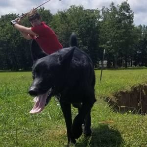 Meet your Posher, Dalton