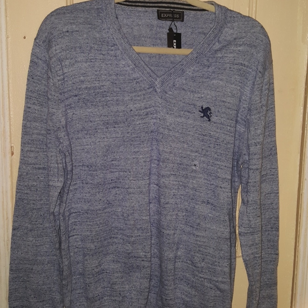 Express Mens Sweater