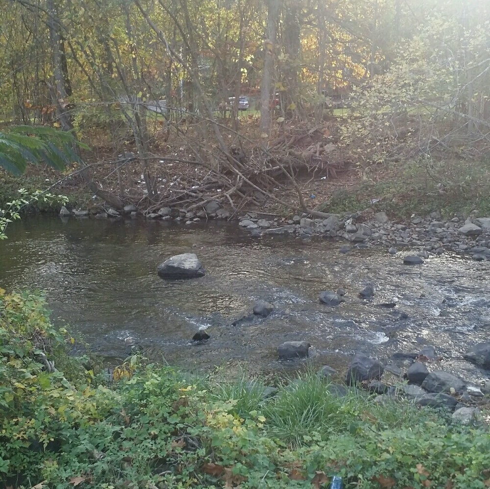 Meet your Posher, Linette