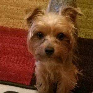 Meet your Posher, Kera