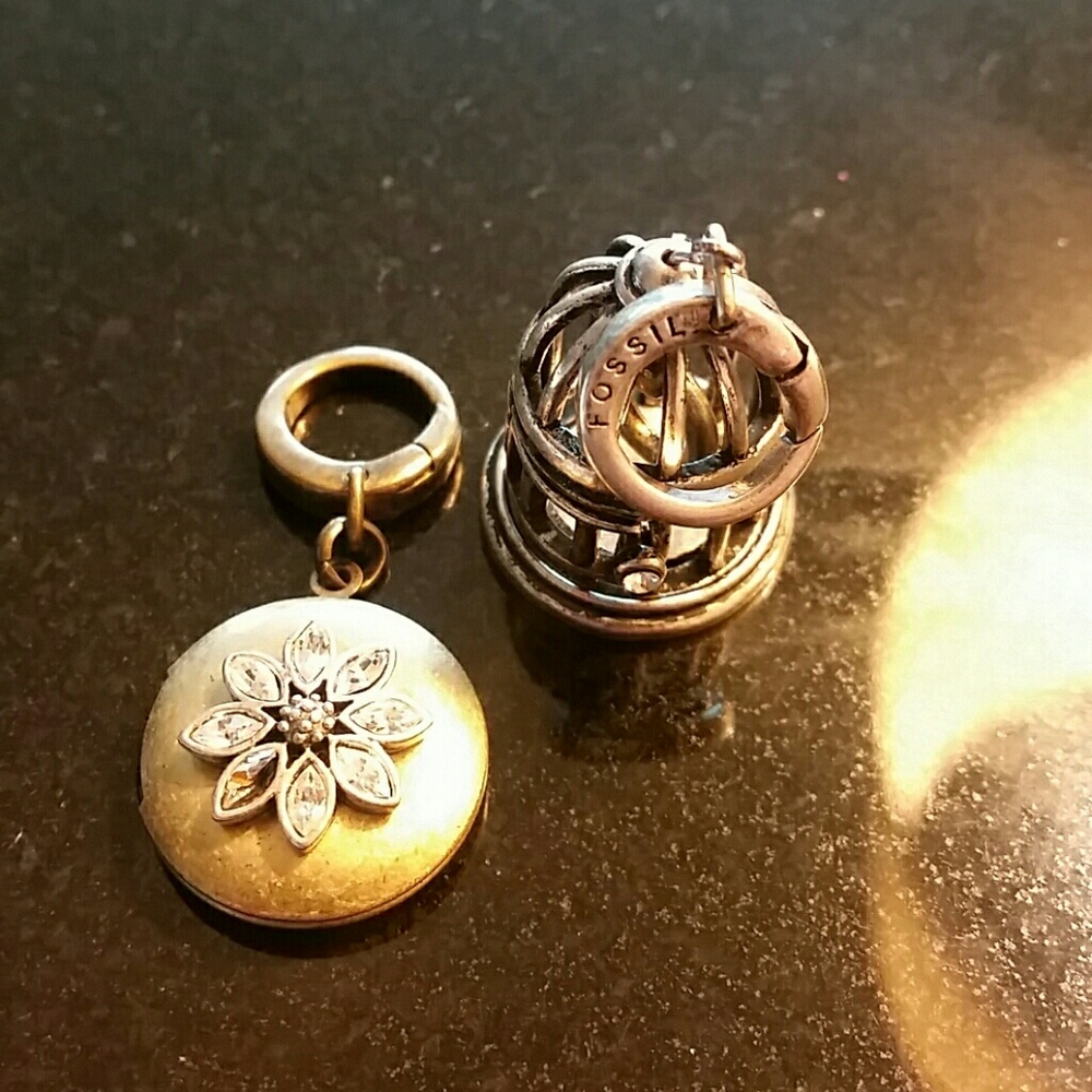 Fossil Charms