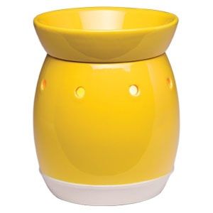 Brand new Scentsy Warmer