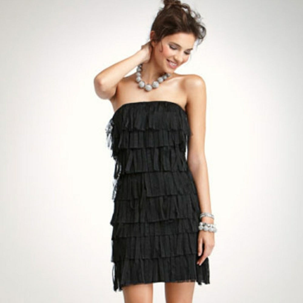 Ann Taylor Tulle Fringe Dress