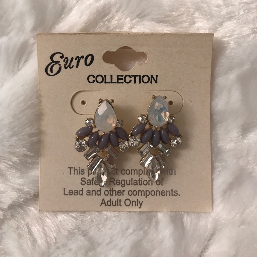 Euro Collection- Purple Sparkle Earrings.