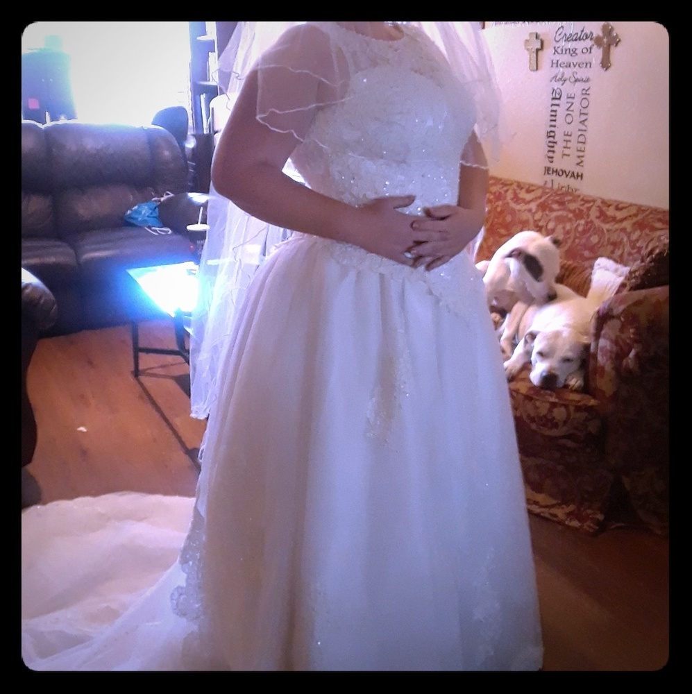 Beautiful Wedding dress