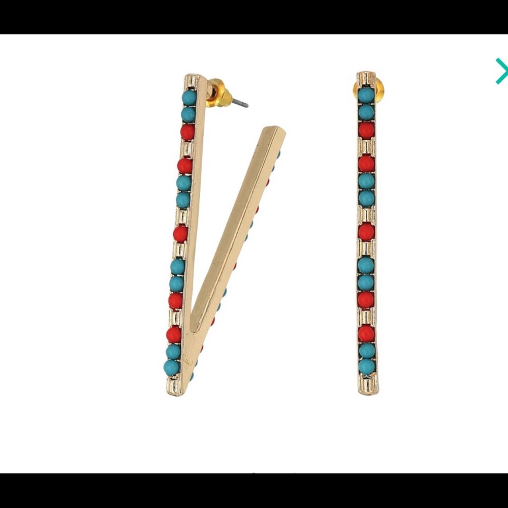 : Steve Madden : V - Shape Tribal Earrings
