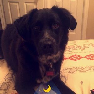 Meet your Posher, Johnny