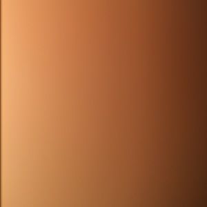 Meet your Posher, Solomon