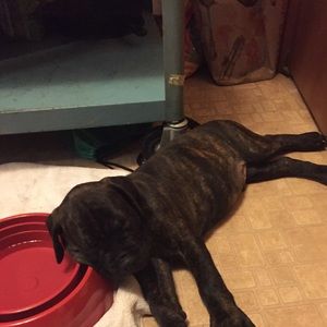 Meet your Posher, Jacob